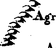 115/115290120001160_0.png