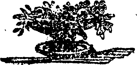 115/115310030000030_0.png