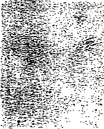 115/115340020000110_0.png