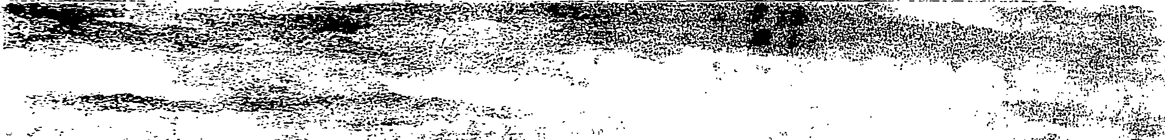 115/115340020000220_0.png