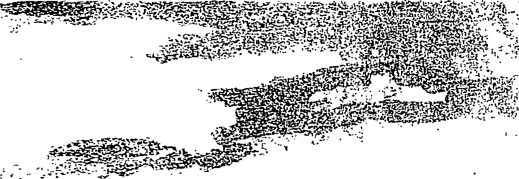 115/115340020000380_0.png