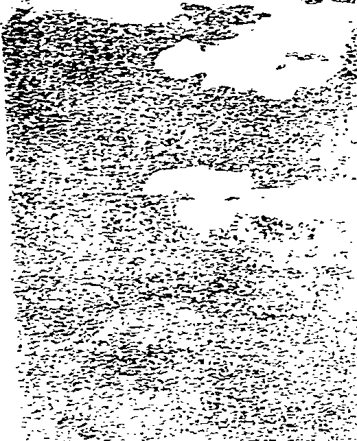 115/115340020000830_0.png