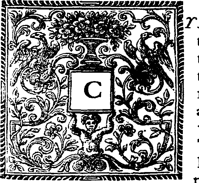 115/115400010104540_0.png