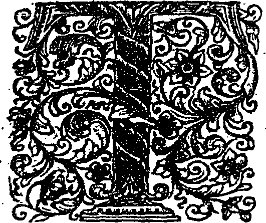 115/115400010200050_0.png