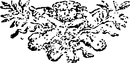 115/115400010202090_0.png