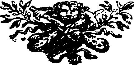 115/115400010203640_0.png