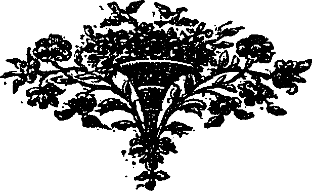 115/115400010204920_0.png