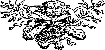 115/115400010204950_0.png