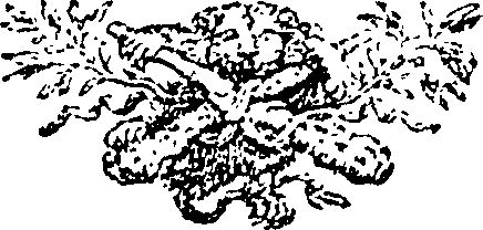 115/115400010205210_0.png