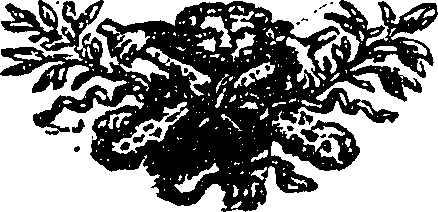 115/115400010205800_0.png
