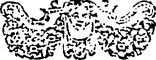 115/115410010304650_0.png