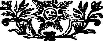 115/115410010305670_0.png