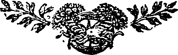 115/115410010305780_0.png