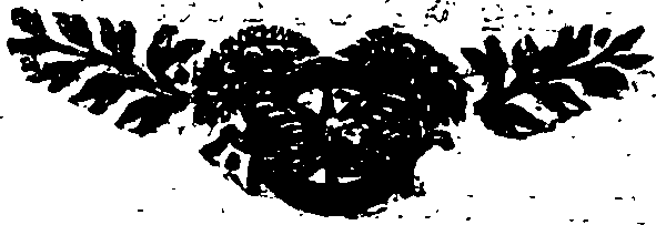 115/115410010400410_0.png