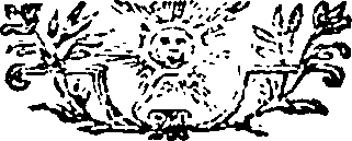 115/115410010403160_0.png