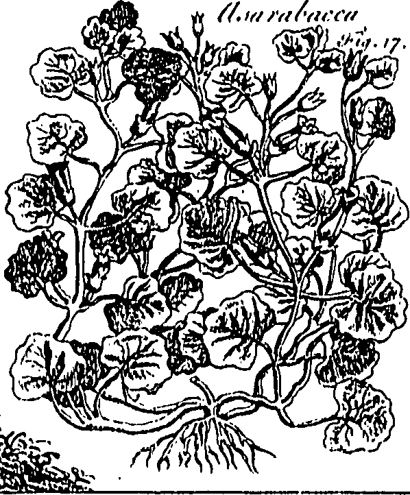 115/115440010000230_0.png