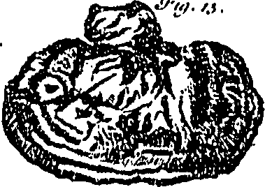 115/115440010000230_1.png