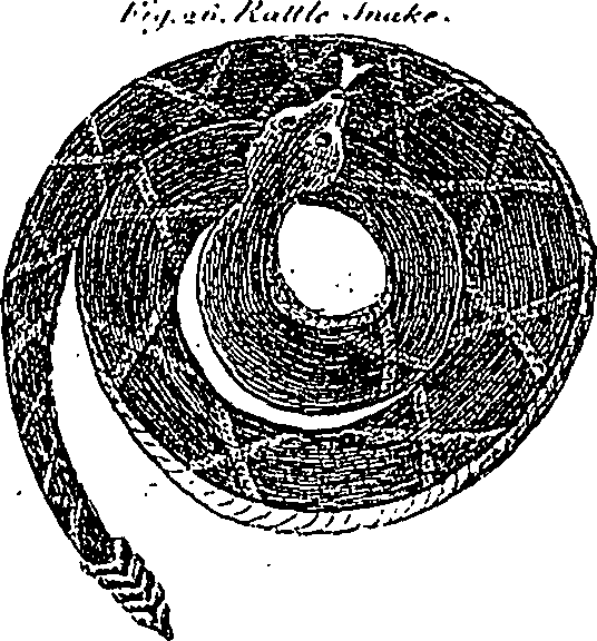 115/115440010005110_0.png