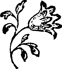 115/115470070000320_0.png