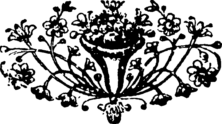 115/115480020002520_0.png