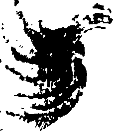 115/115480020002780_0.png