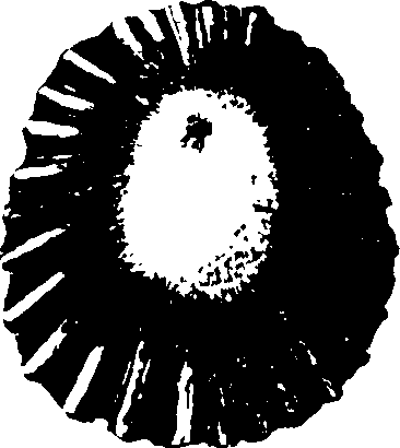 115/115480020002780_1.png