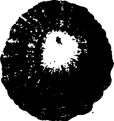 115/115480020002780_2.png