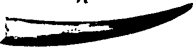 115/115480020002790_0.png
