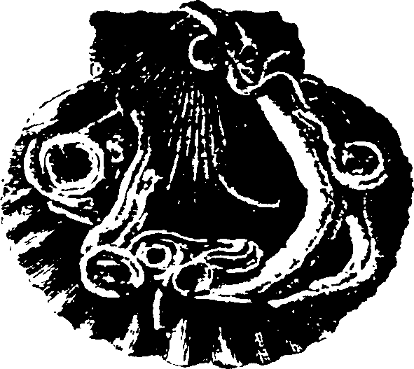 115/115480020002790_1.png