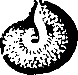 115/115480020002800_0.png