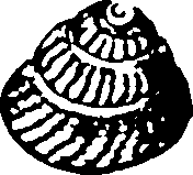 115/115480020002800_1.png