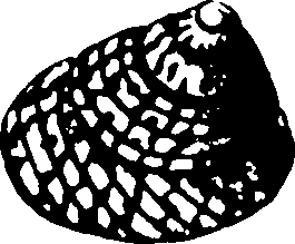 115/115480020002800_2.png