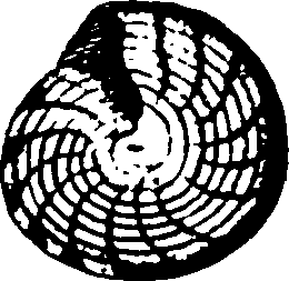115/115480020002800_3.png