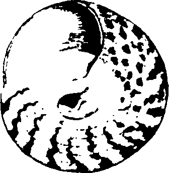 115/115480020002800_4.png
