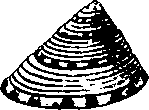 115/115480020002800_5.png