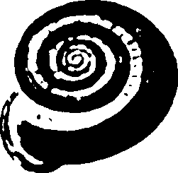 115/115480020002820_0.png