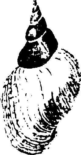115/115480020002820_2.png