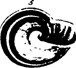 115/115480020002820_3.png