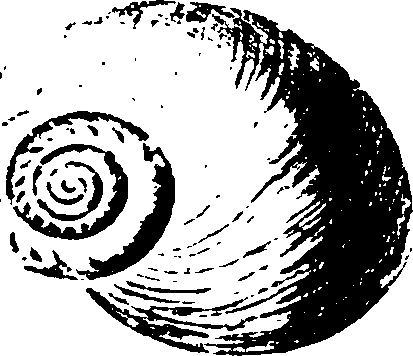 115/115480020002820_4.png