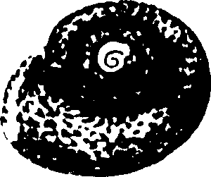 115/115480020002830_0.png