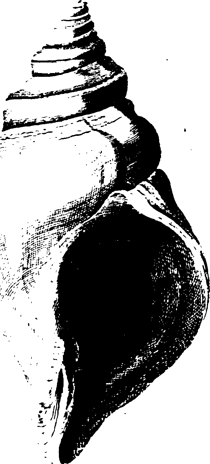 115/115480020002830_1.png