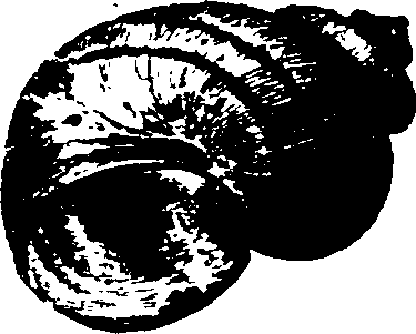 115/115480020002830_2.png