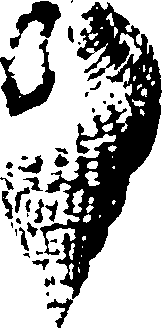 115/115480020002840_0.png