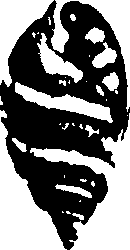 115/115480020002850_0.png
