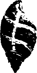 115/115480020002850_3.png