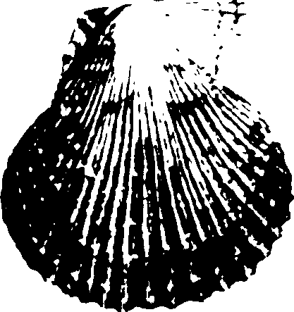 115/115480020002870_0.png