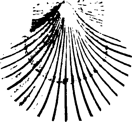 115/115480020002870_1.png