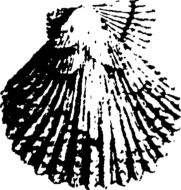 115/115480020002870_2.png