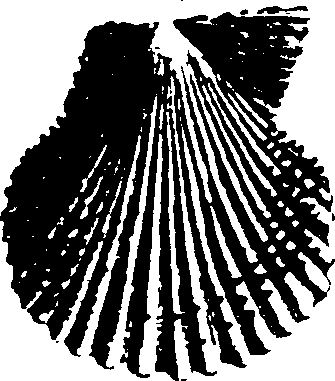 115/115480020002870_3.png