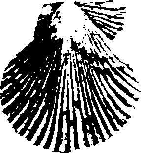 115/115480020002870_4.png